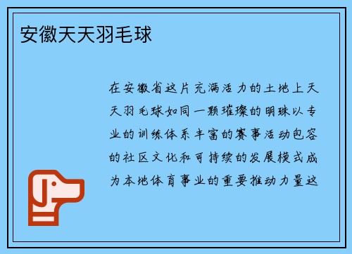 安徽天天羽毛球